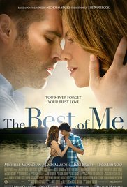 The Best Of Me 2014